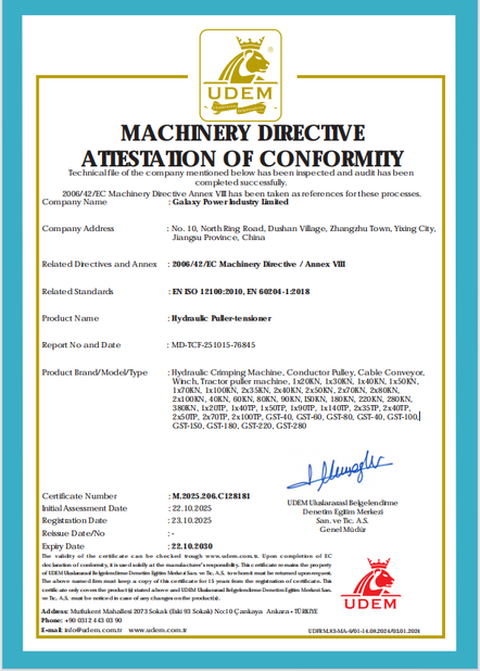 Cina Galaxy power industry limited Certificazioni